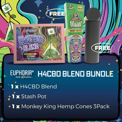 Euphoria - H4CBD Blend (Bundle Includes FREE Stash Pot + Hemp Cones 3 Pack) - Single